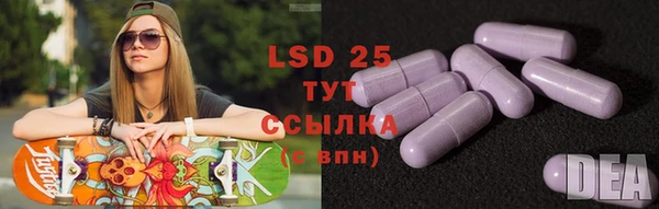 прущие крисы Аркадак