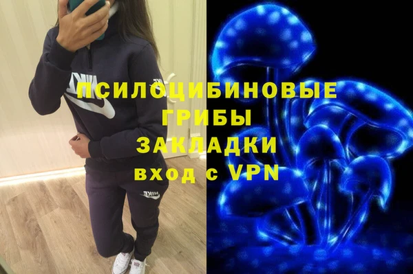 спиды Арсеньев