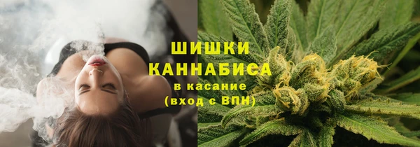 спиды Арсеньев
