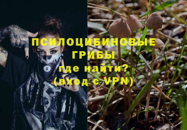 прущие крисы Аркадак