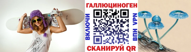 Псилоцибиновые грибы Psilocybine cubensis  Тетюши 